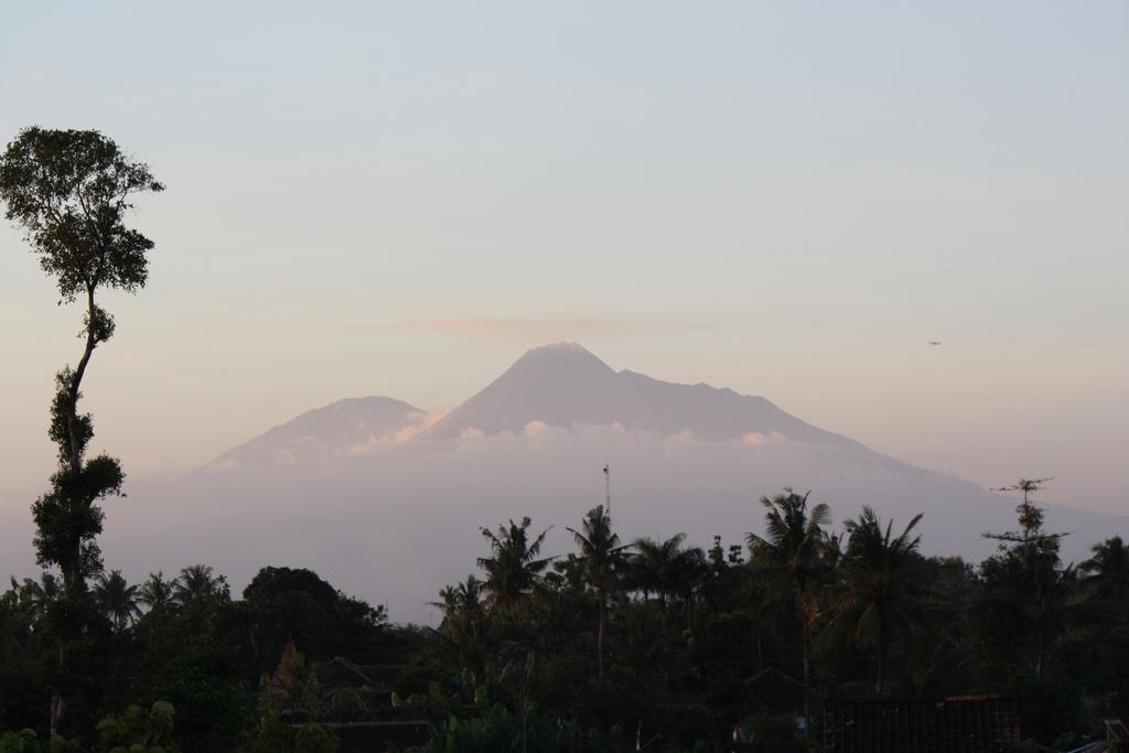 Ada Waktu Homestay Jejeran エクステリア 写真
